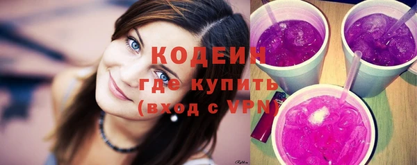 индика Бородино