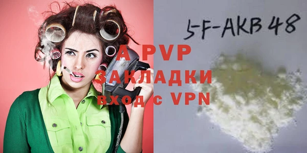 индика Бородино