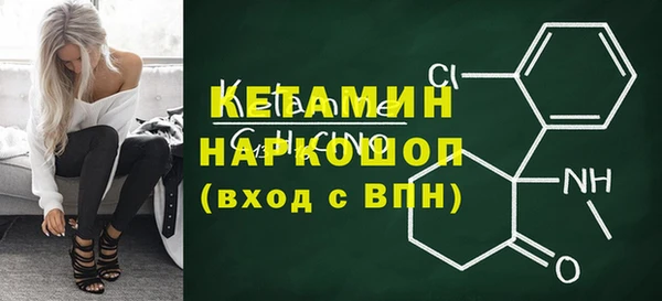 индика Бородино