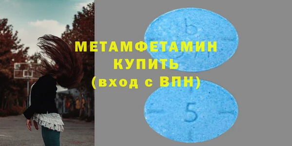 индика Бородино