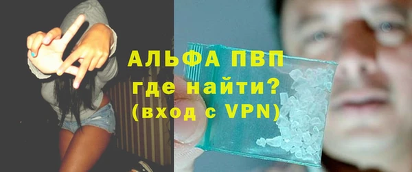 индика Бородино
