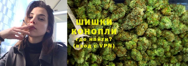 спайс Богданович