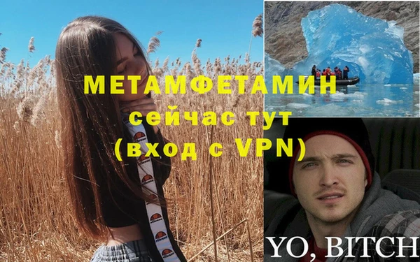 спайс Богданович