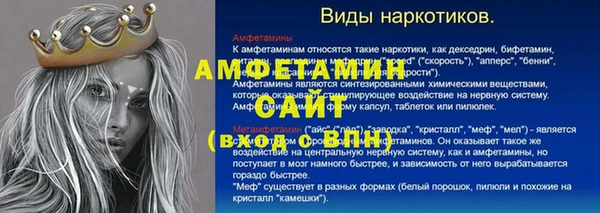 спайс Богданович