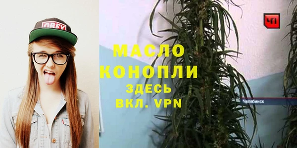 хмурый Богородицк