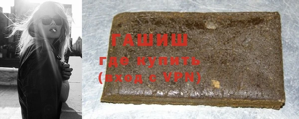 индика Бородино