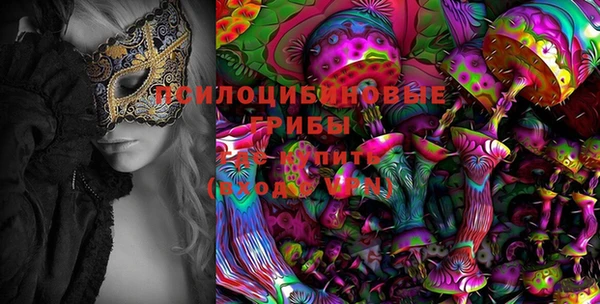 хмурый Богородицк