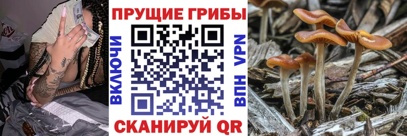 гидра ONION  Гулькевичи  Псилоцибиновые грибы GOLDEN TEACHER  сколько стоит 