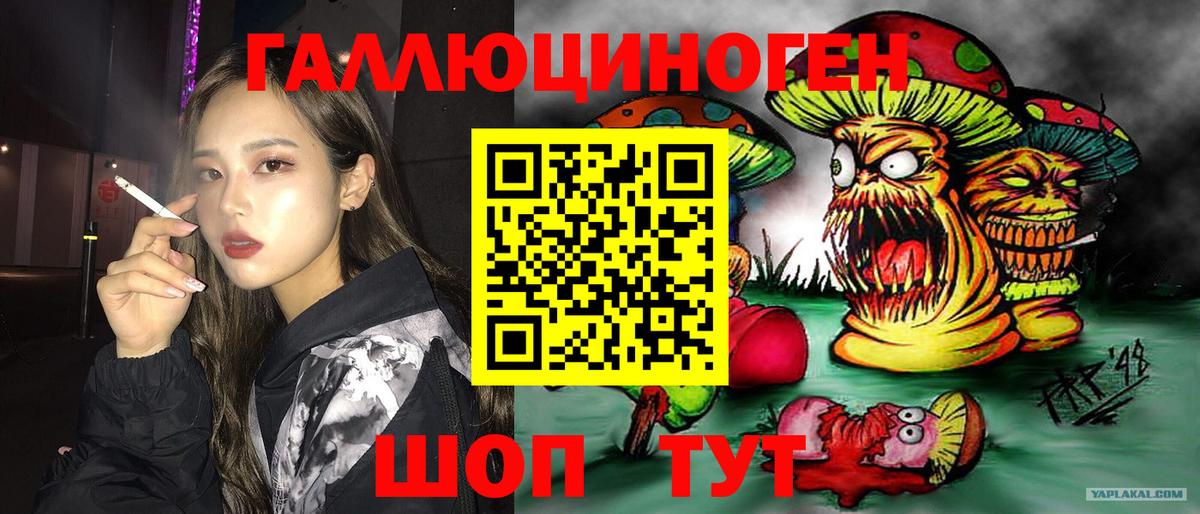Псилоцибиновые грибы GOLDEN TEACHER Гулькевичи