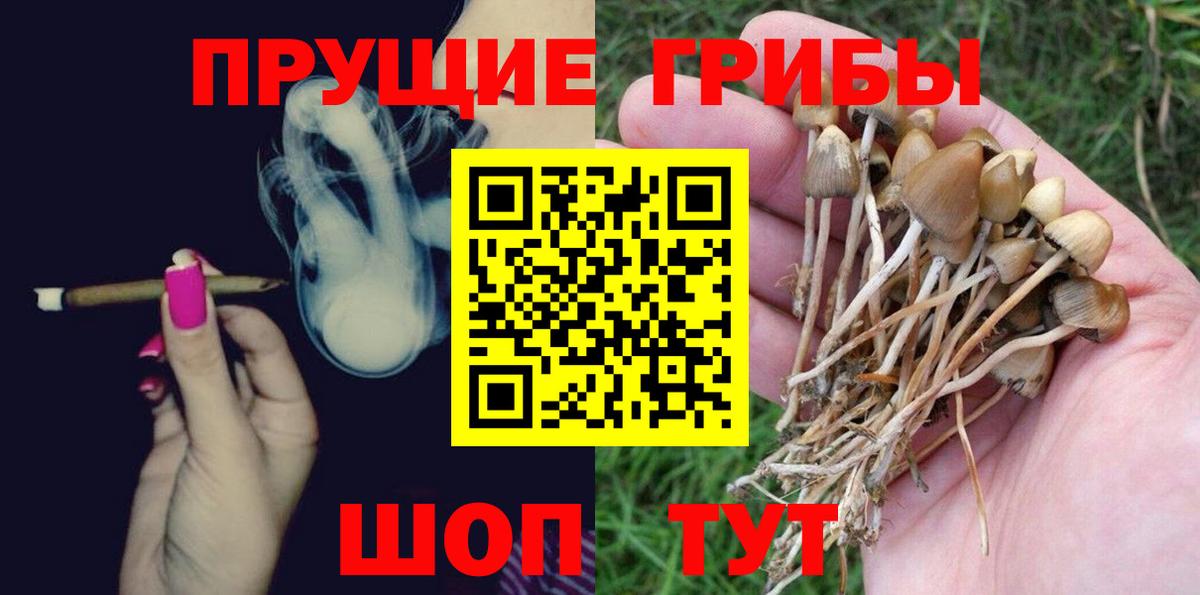 наркотики  Псилоцибиновые грибы ЛСД  Вход с VPN  Псилоцибиновые грибы Cubensis  Гулькевичи 
